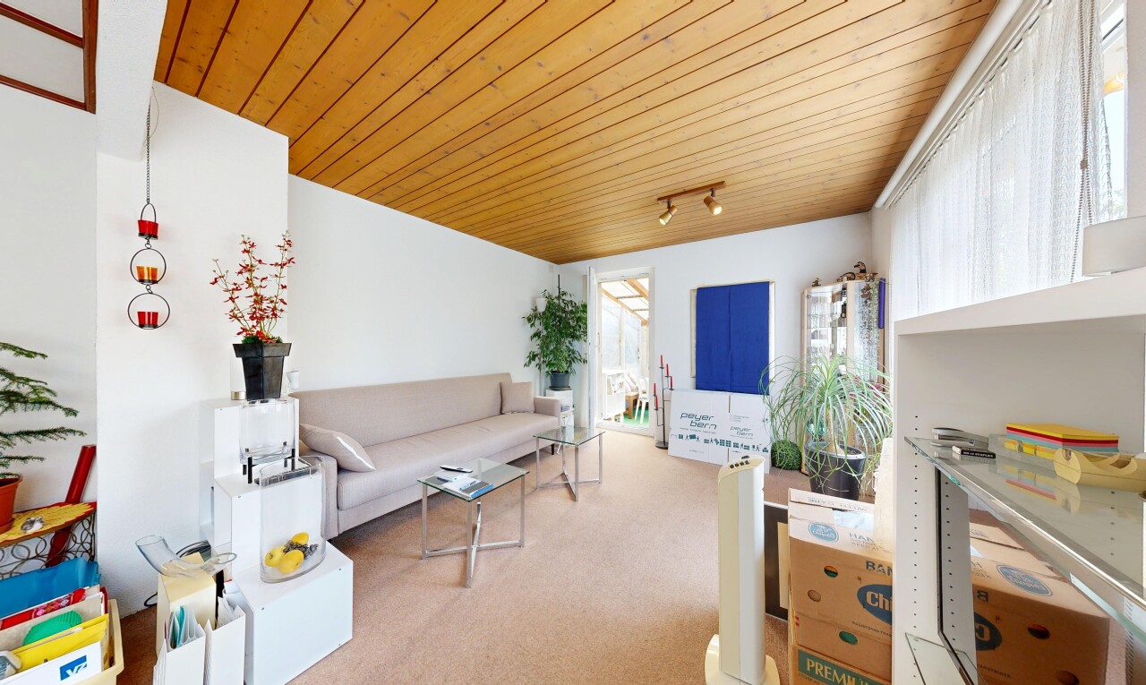 wohnzimmer mit deckenbeleuchtung, wood ceiling, holzdecke, carpet, und teppich