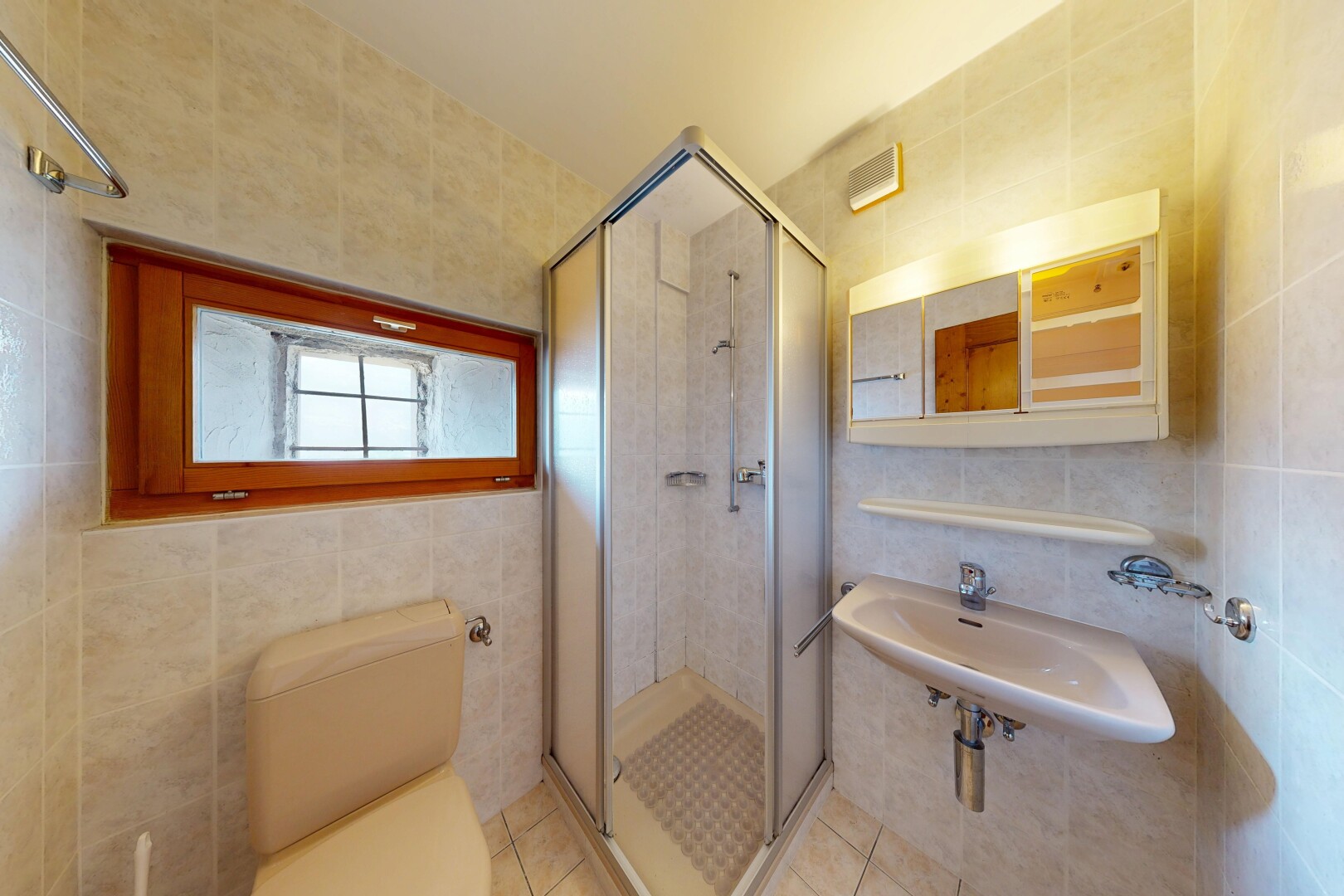 salle de bains avec mur en carrelage, tile wall, toilette, douche, et miroir
