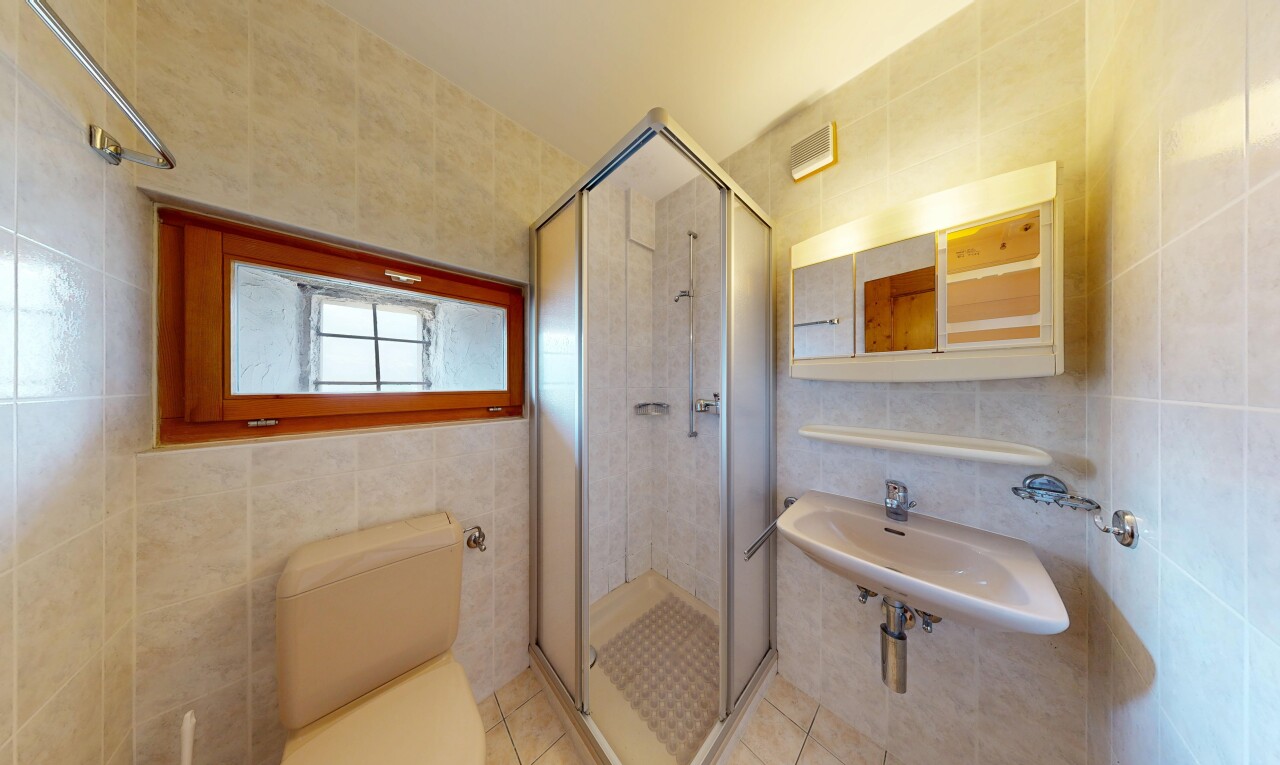 salle de bains avec mur en carrelage, tile wall, toilette, douche, et miroir