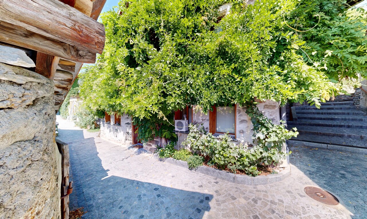 jardin