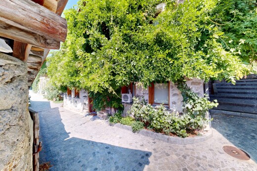 jardin