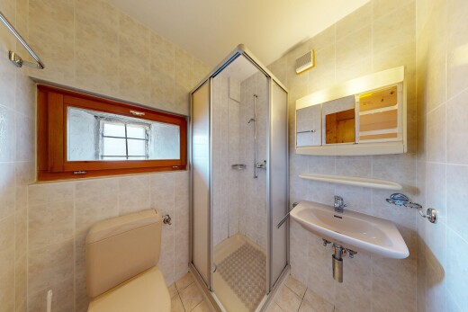 salle de bains avec mur en carrelage, tile wall, toilette, douche, et miroir