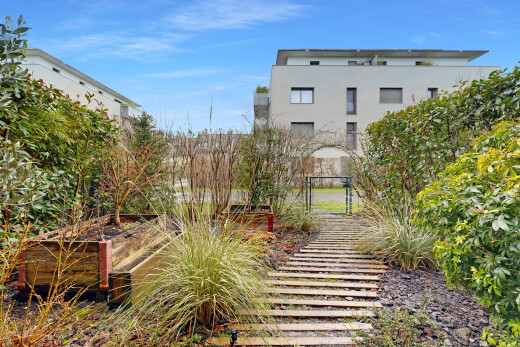 jardin avec portail et day time