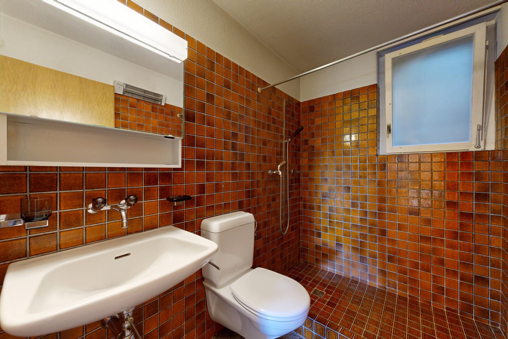 salle de bains avec toilette, évier, miroir, douche, et inside property