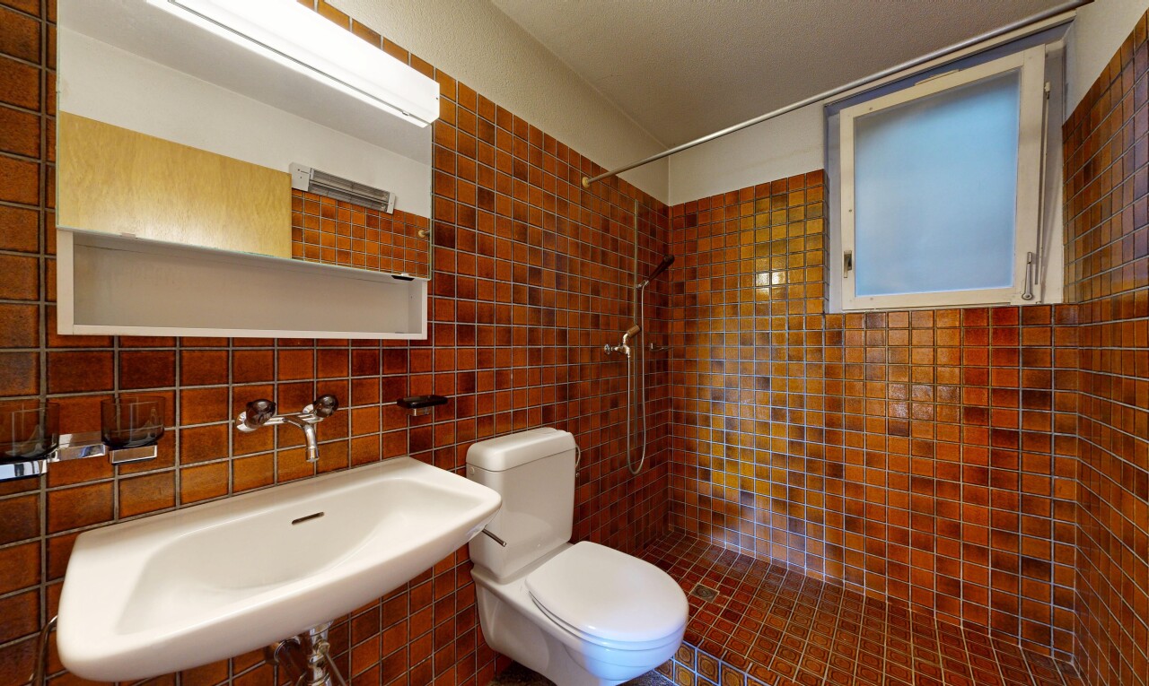 salle de bains avec toilette, évier, miroir, douche, et inside property