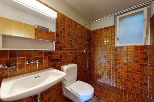 salle de bains avec toilette, évier, miroir, douche, et inside property