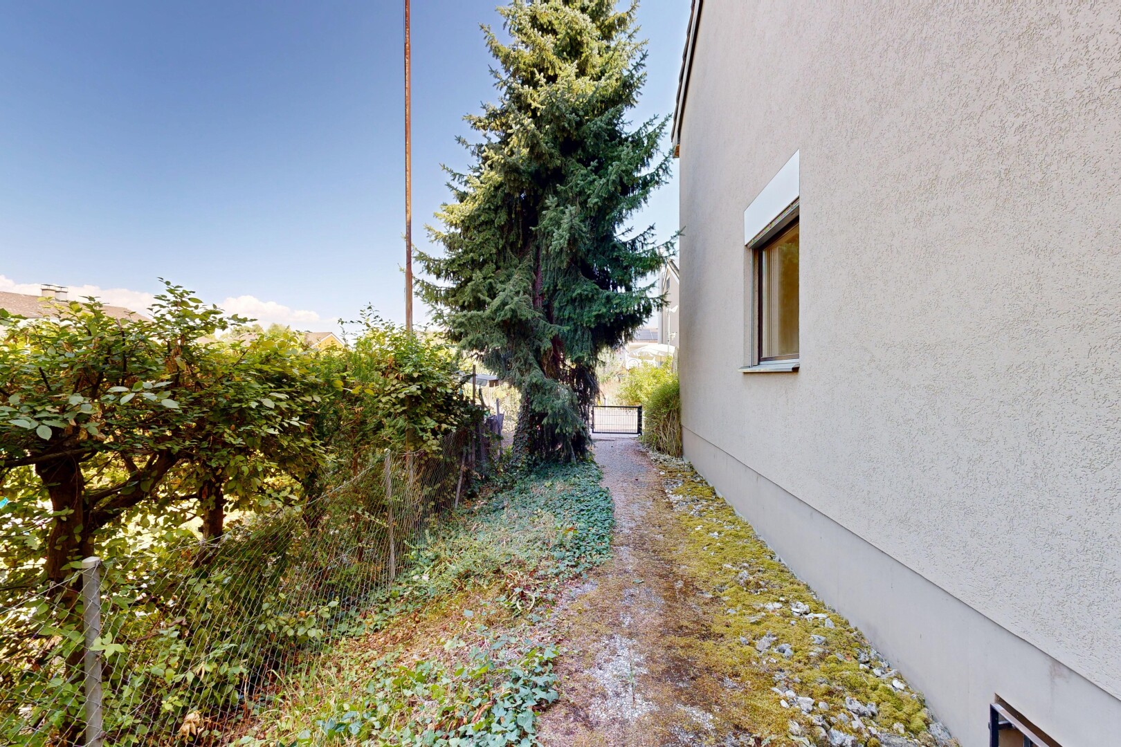garten mit from property, zaun, und day time