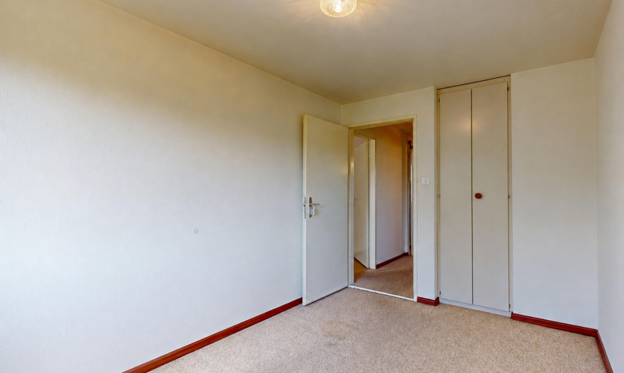 leerer raum mit kleiderschrank, teppich, carpet, gipskartonwand, und drywall