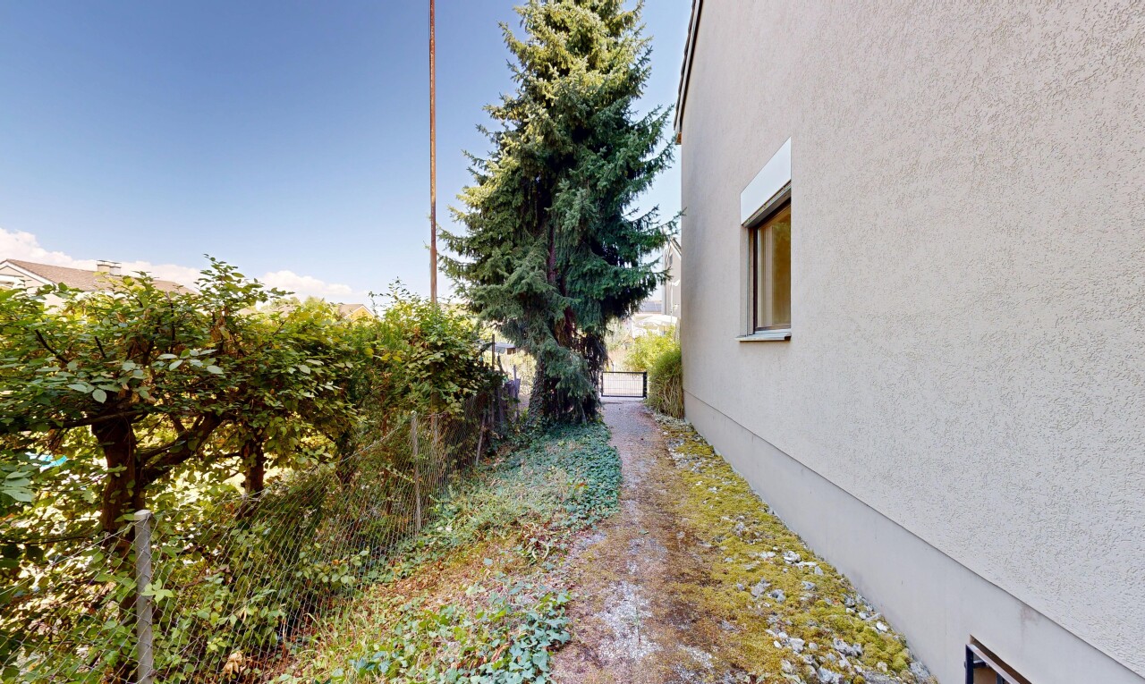 garten mit from property, zaun, und day time