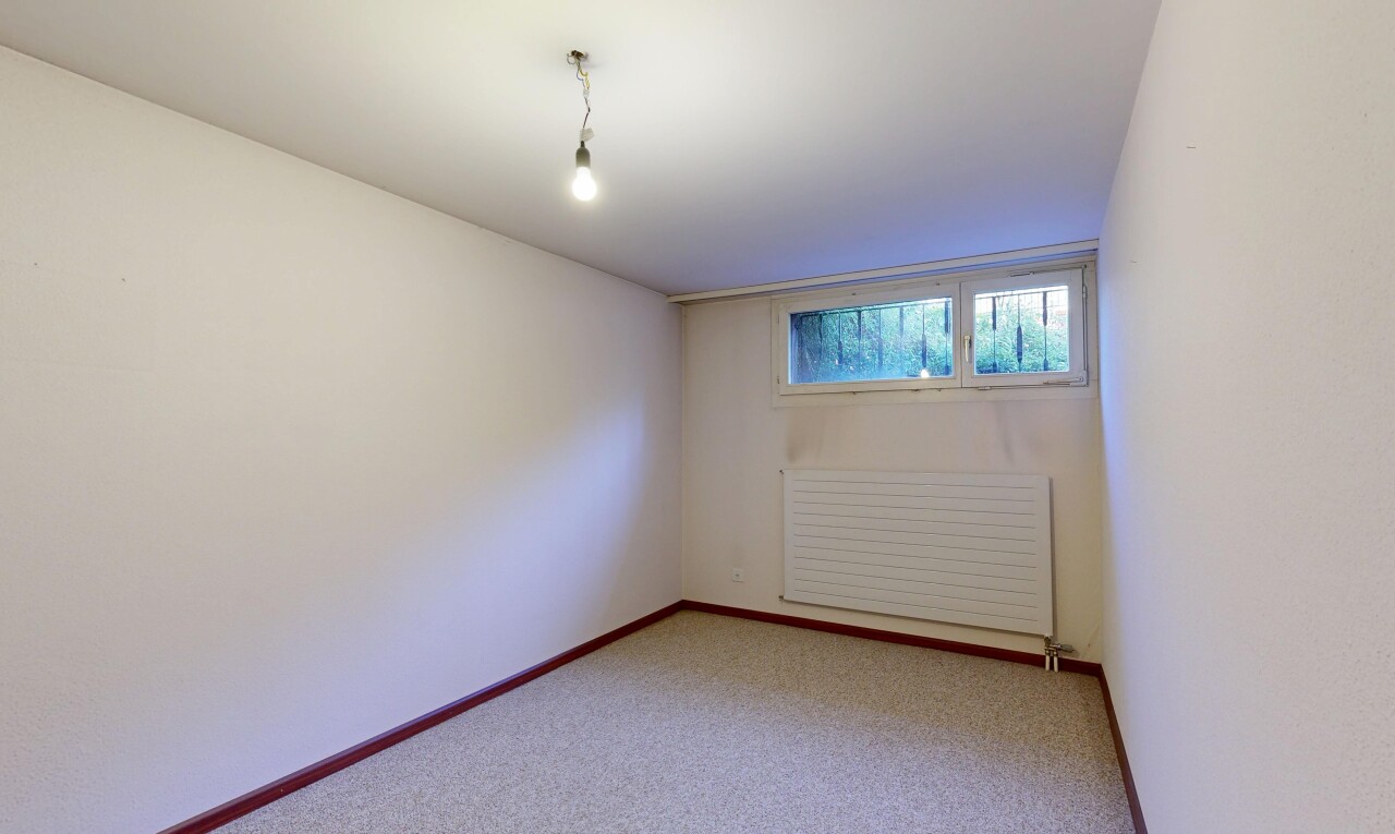 leerer raum mit carpet, teppich, drywall, gipskartonwand, und keller