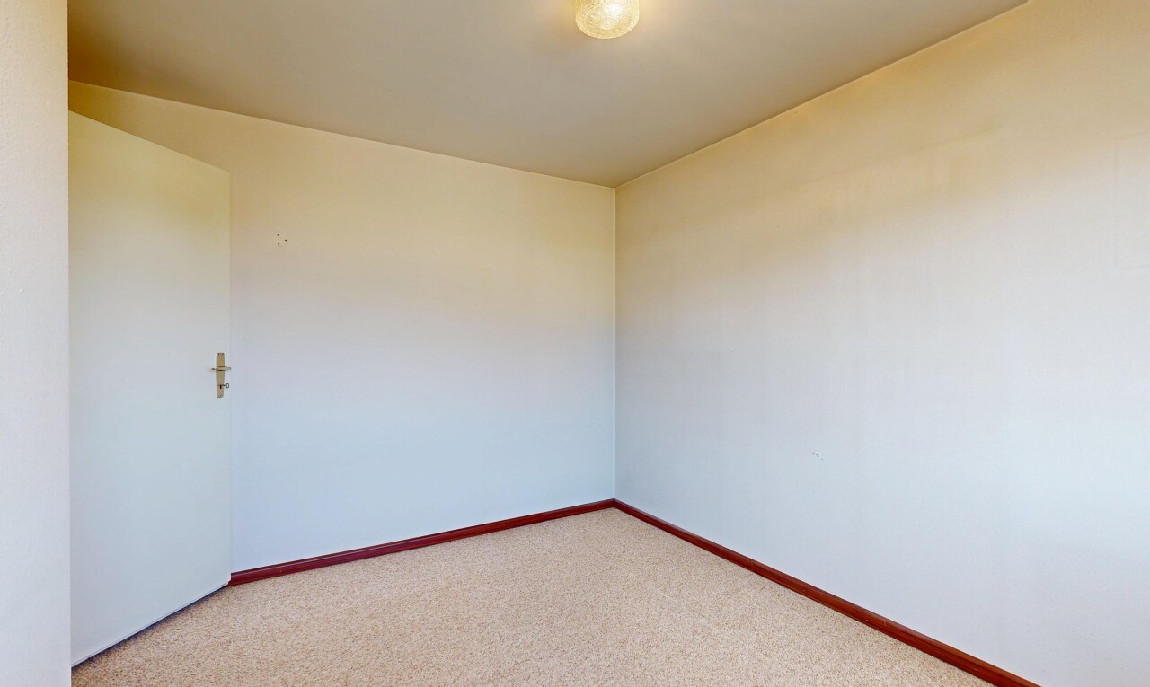leerer raum mit gipskartonwand, drywall, teppich, carpet, und sockelleisten