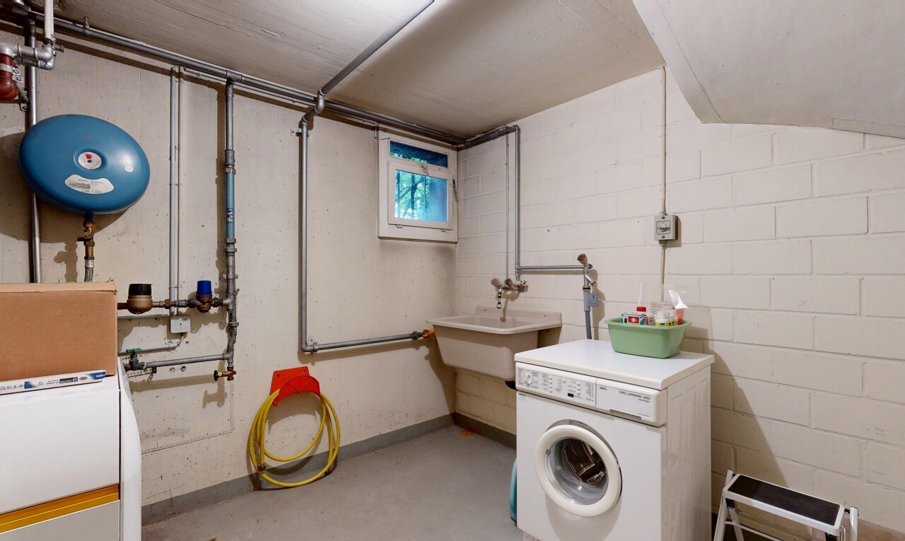 wäschekammer mit tumbler, natürliches licht, wasserausdehnungsbehälter, keller, und waschbecken