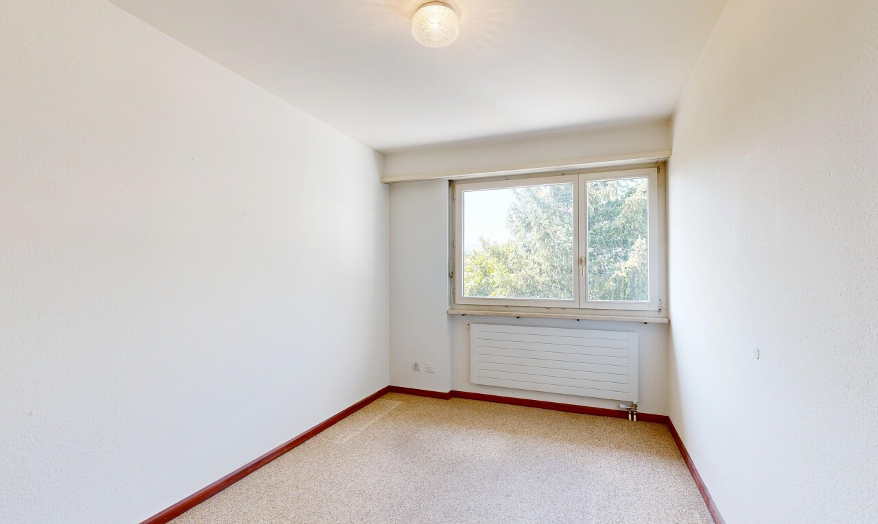 leerer raum mit kühler, teppich, carpet, sockelleisten, und baseboards wall
