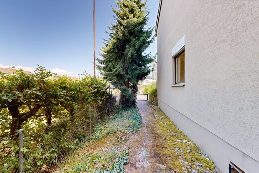 garten mit from property, zaun, und day time