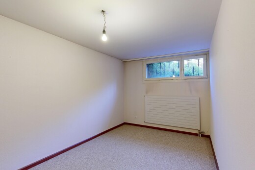 leerer raum mit carpet, teppich, drywall, gipskartonwand, und keller