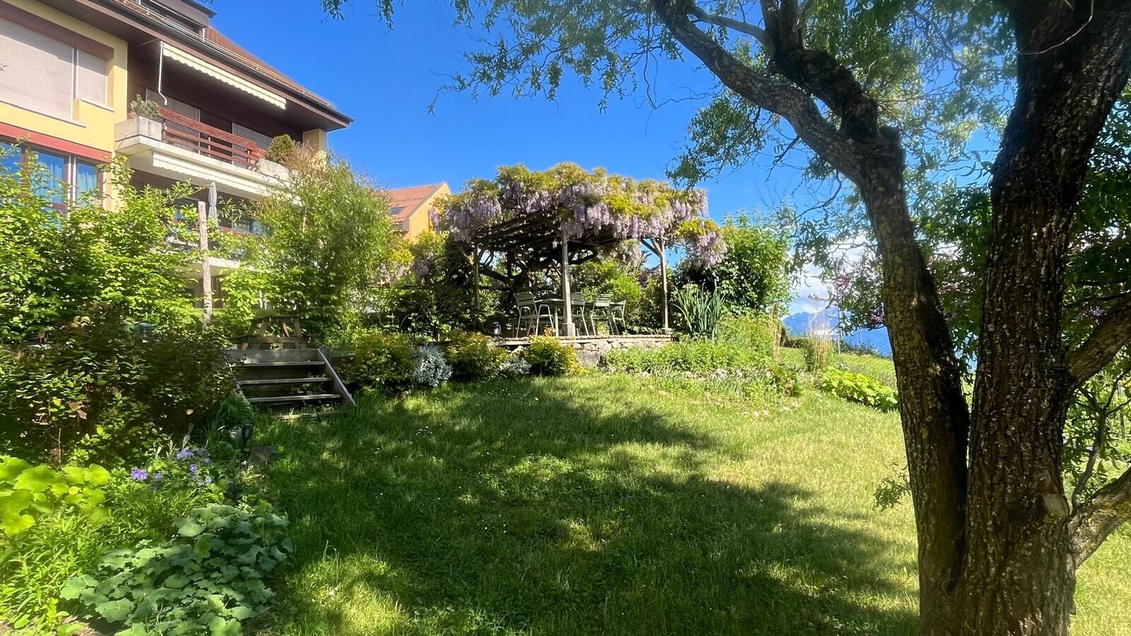 jardin avec pelouse, terrasse, et day time
