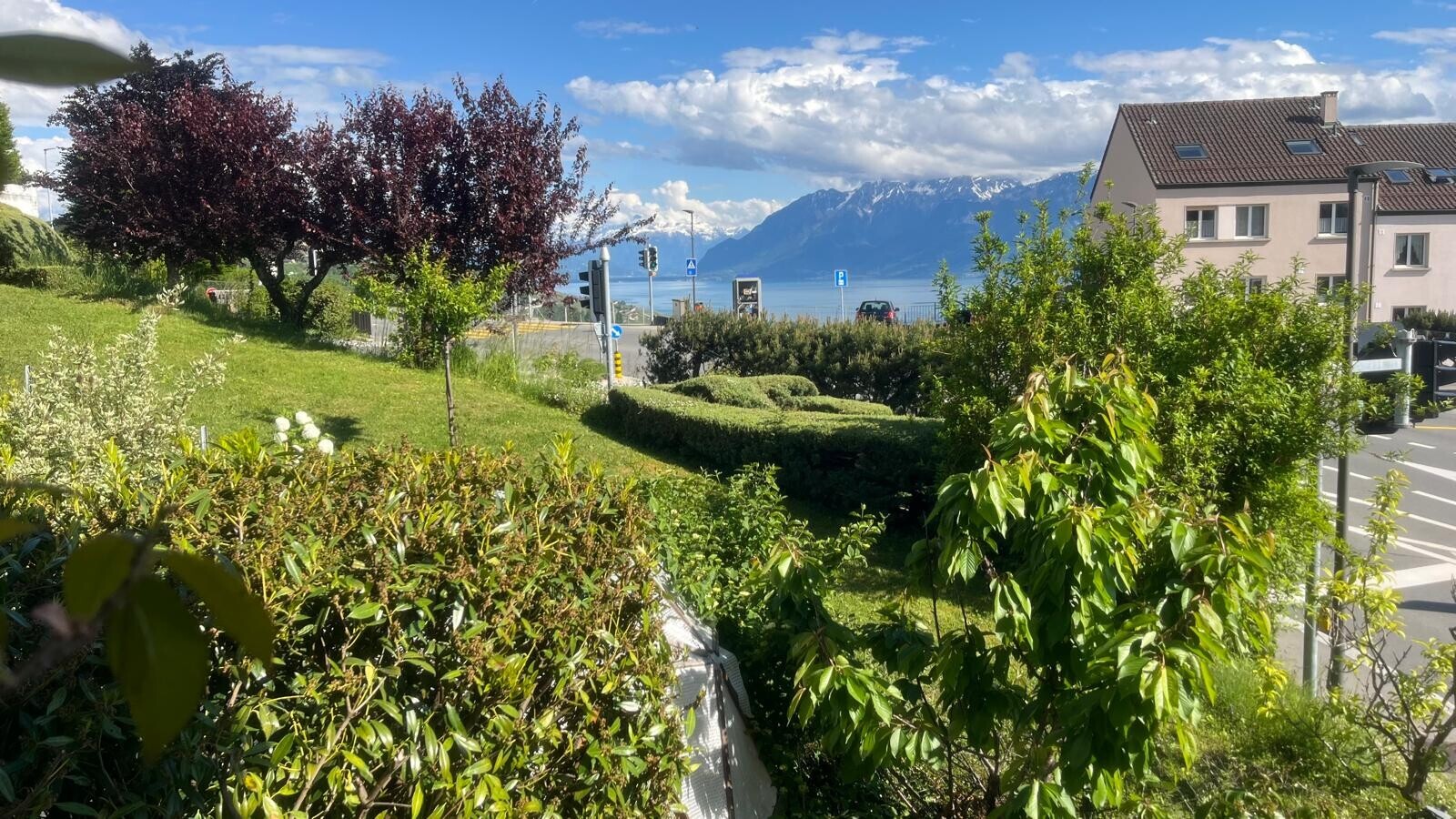 jardin avec day time, vue sur la montagne, mountain view, pelouse, et vue sur l'eau