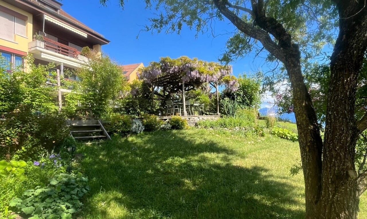 jardin avec pelouse, terrasse, et day time