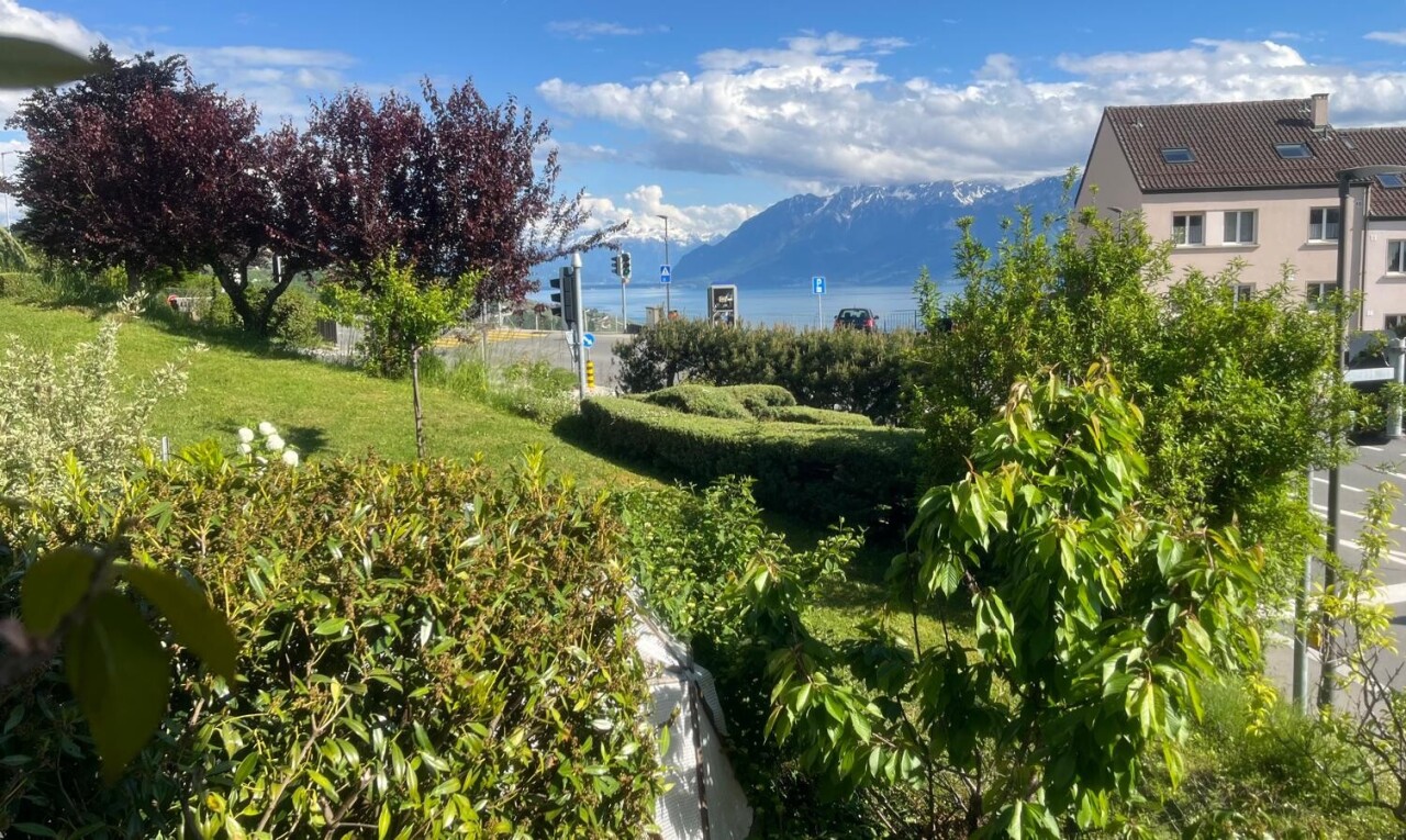 jardin avec day time, vue sur la montagne, mountain view, pelouse, et vue sur l'eau