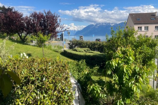 garden with a yard and a water and mountain view