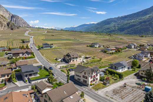 vue sur la montagne avec orchard / agricultural view, vue sur le verger/agriculture, aerial view, day time, et mountain view