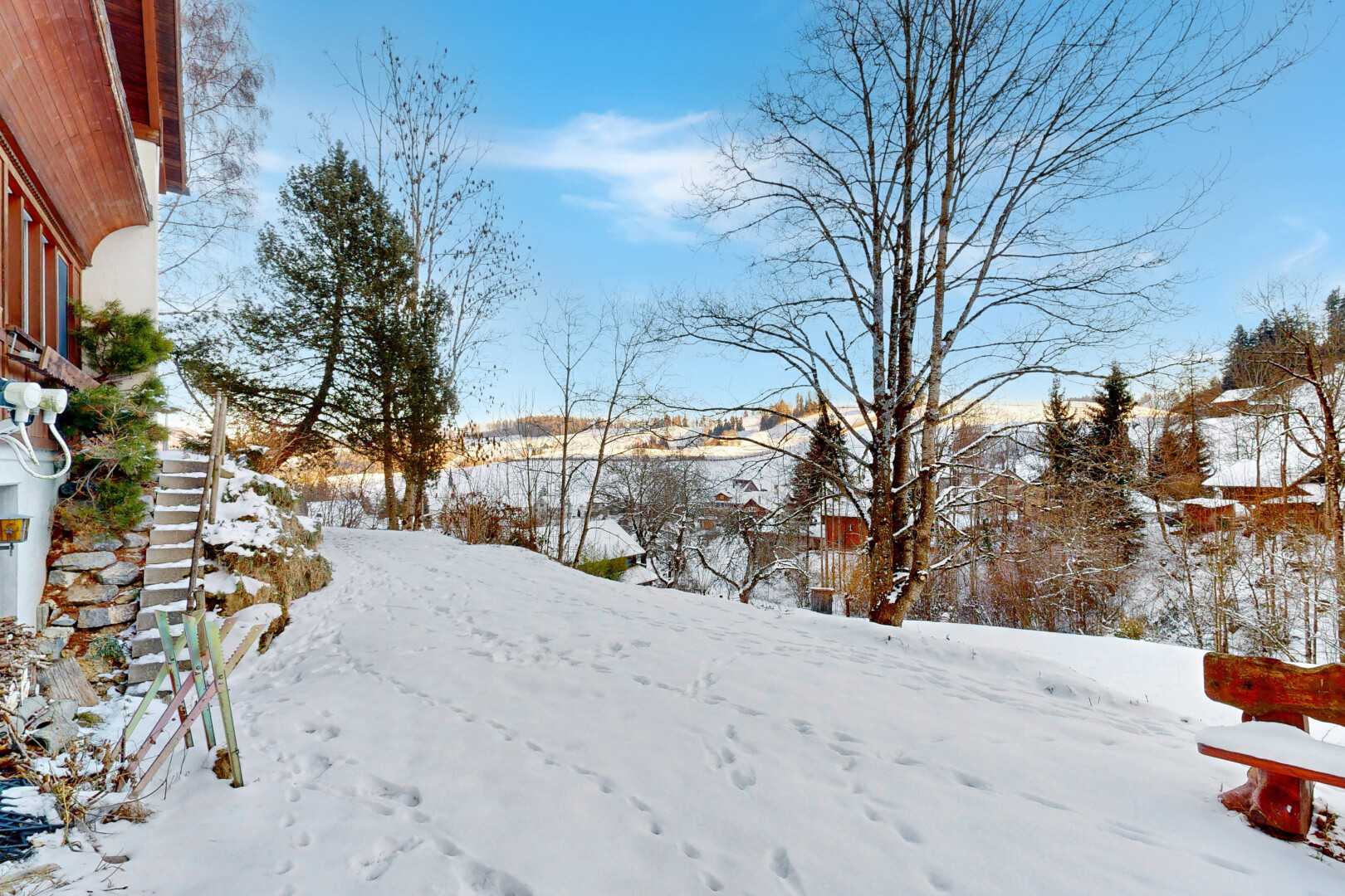vue sur la montagne avec snow et day time