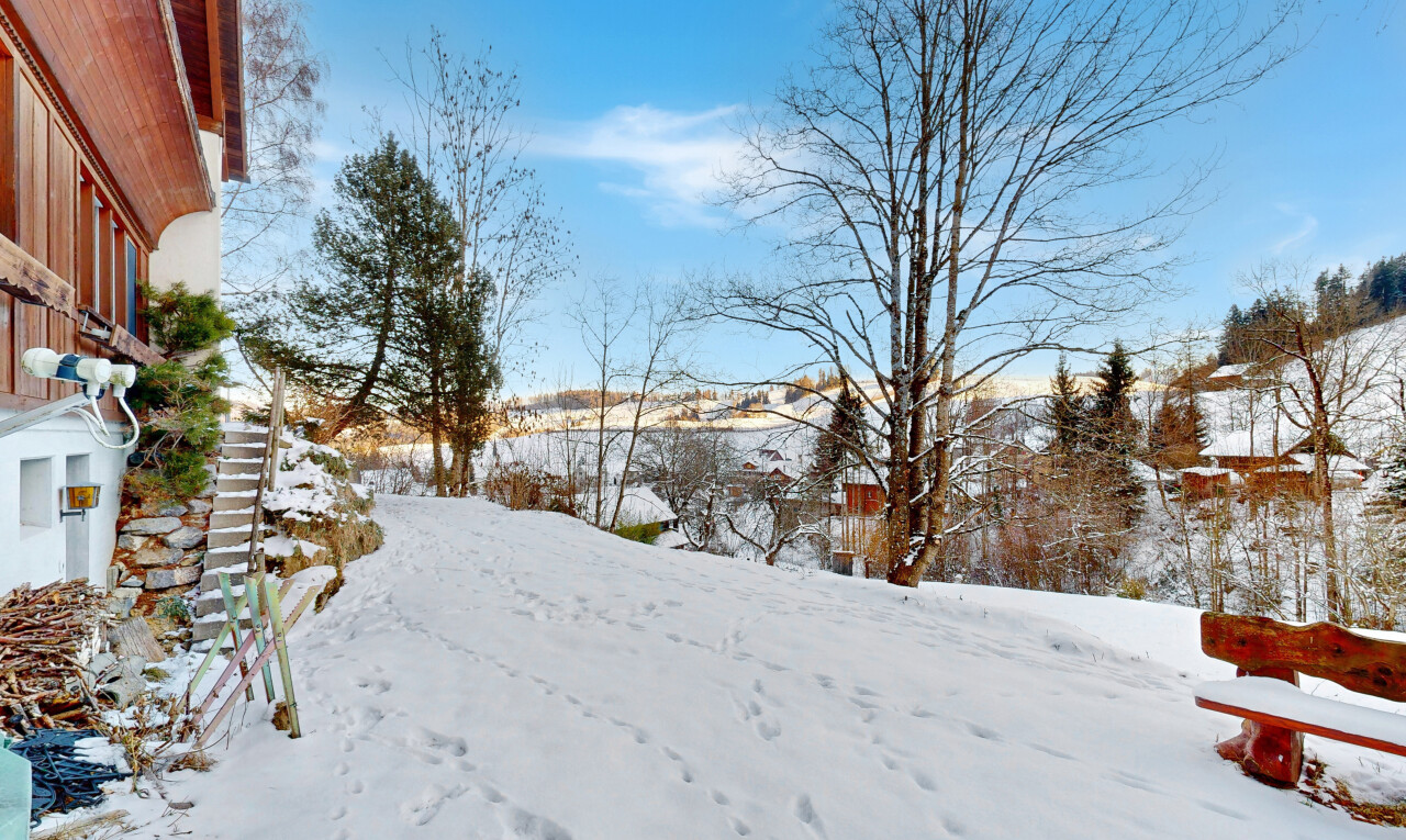 vue sur la montagne avec snow et day time