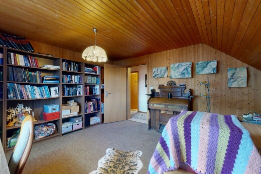 wohn- / esszimmer mit teppich, carpet, dachschräge, vaulted ceiling, und holzwand