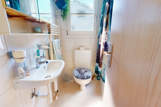 bad mit inside property, fliesenwand, tile wall, toilette, und natürliches licht