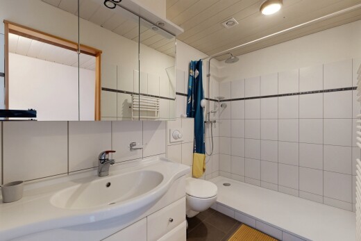 salle de bains avec toilette, inside property, tile shower, douche, et miroir