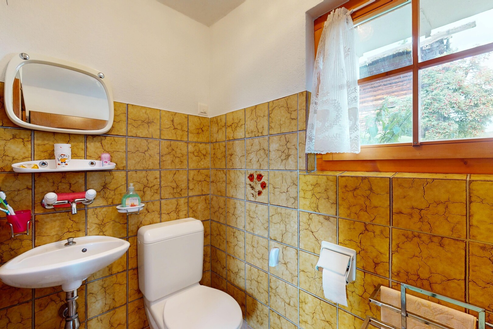 salle de bains avec inside property, miroir, toilette, natural light, et lumière naturelle
