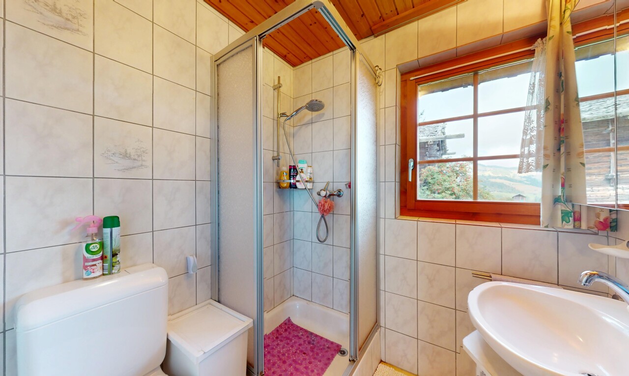 salle de bains avec mur en carrelage, tile wall, douche, inside property, et lumière naturelle