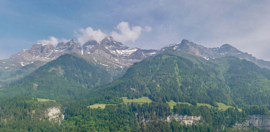 view of mountain backdrop featuring a forest
