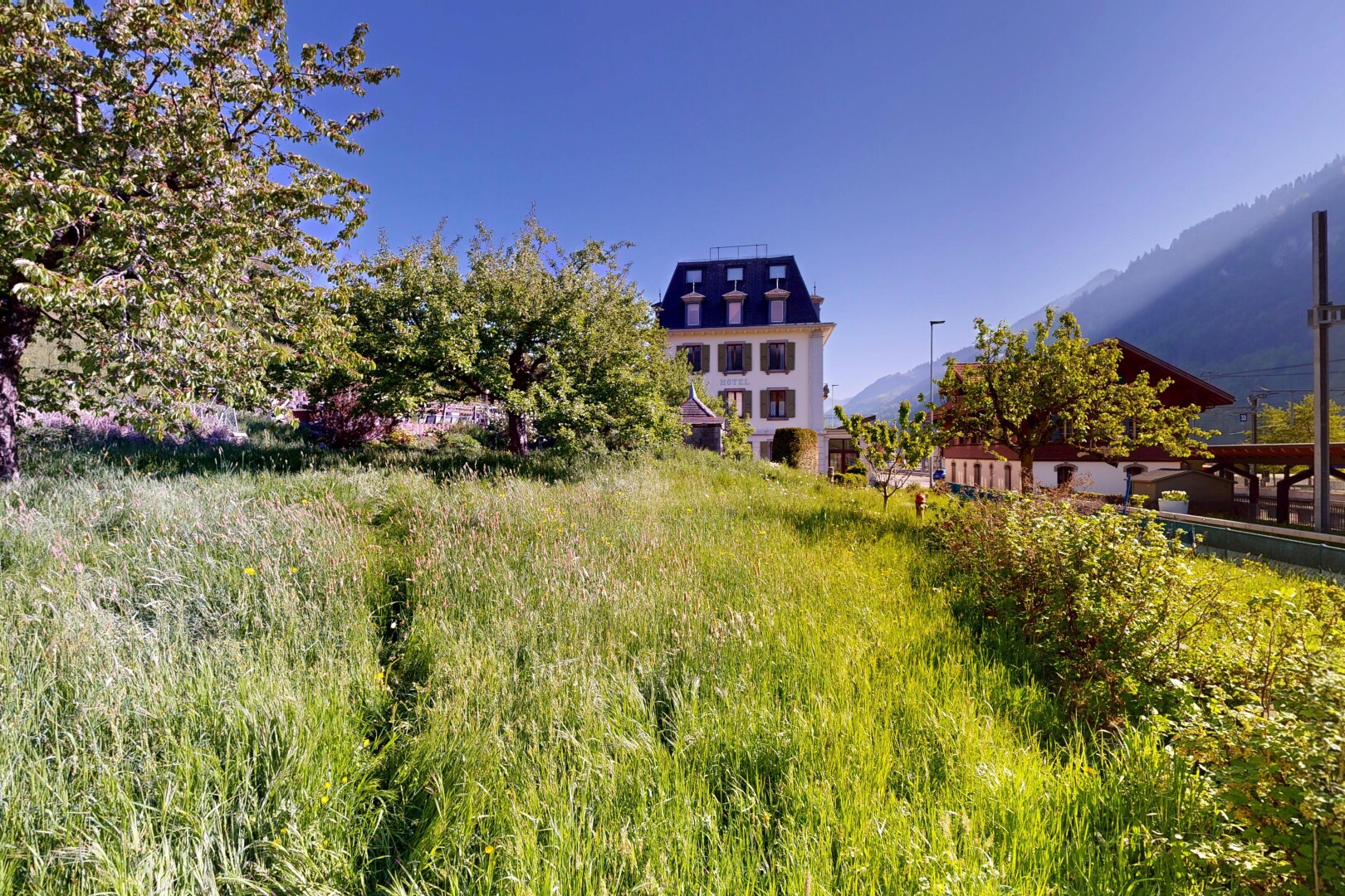 jardin avec day time