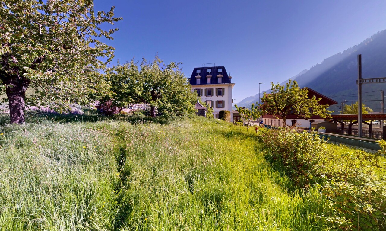 jardin avec day time