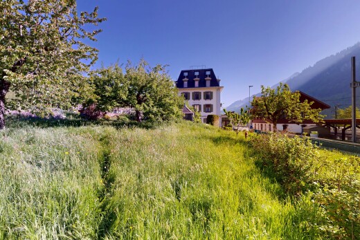 jardin avec day time