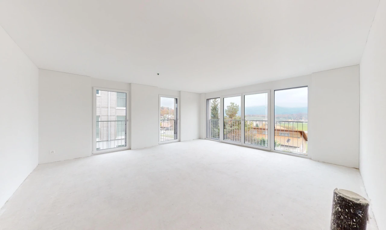 carpeted empty room featuring a healthy amount of sunlight