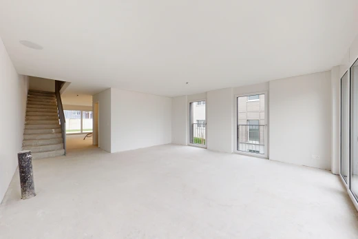 leerer raum mit natürliches licht und teppich