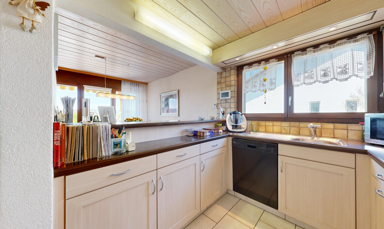 küche mit shaker cabinets, schranktüren mit vertiefter mittelplatte, natural light, natürliches licht, und dark countertops