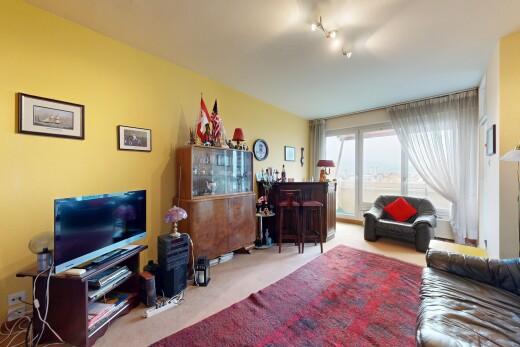 salon avec télévision, natural light, lumière naturelle, carpet, et drywall