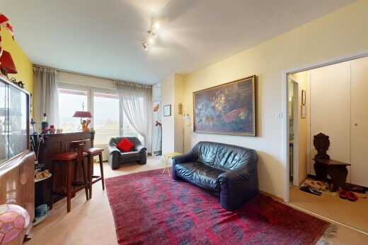 salon avec natural light, lumière naturelle, inside property, drywall, et cloison sèche