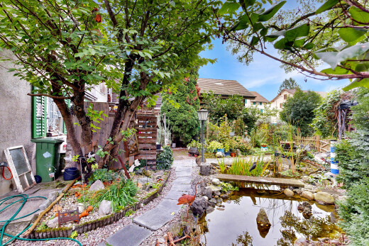 garten mit day time, garden pond, garten teich, und zaun