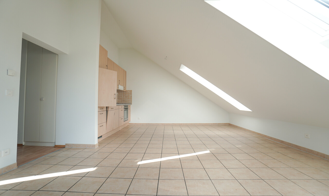 pièce vide avec puits de lumière, light floor, drywall, cloison sèche, et inside property