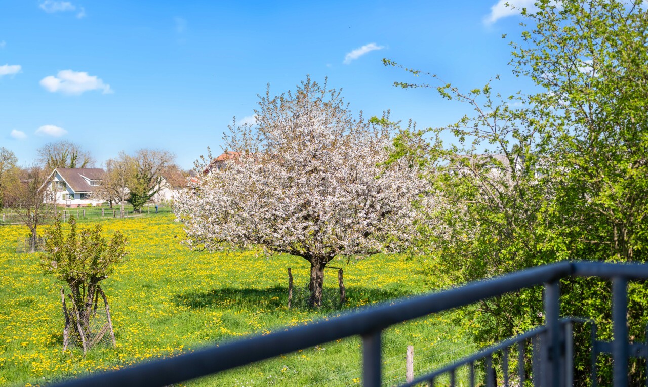 balkon mit day time und from property