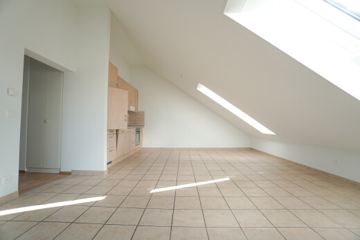 leerer raum mit dachfenster, light floor, drywall, gipskartonwand, und inside property