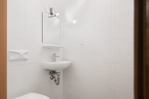 bad mit spiegel, gäste-wc, toilette, und inside property