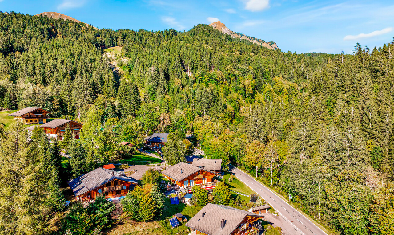 vue sur la montagne avec forest view, vue sur la forêt, day time, et aerial view