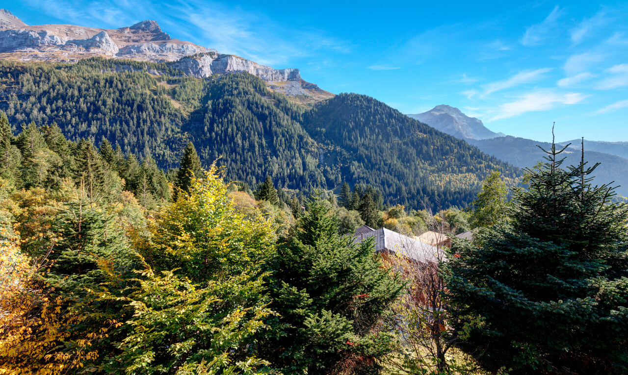 vue sur la montagne avec vue sur la montagne, mountain view, vue sur la forêt, forest view, et day time
