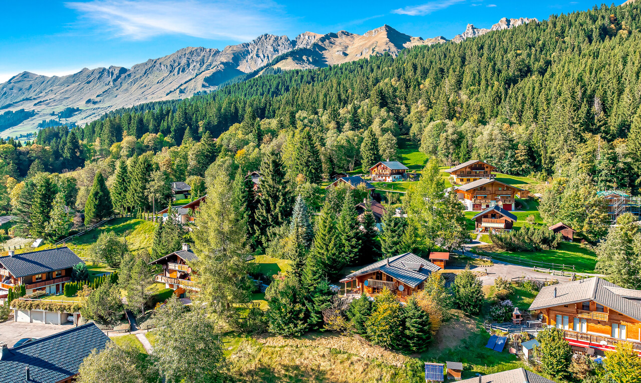 vue sur la montagne avec vue sur la montagne, mountain view, vue sur la forêt, forest view, et day time