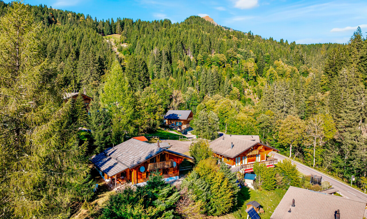 façade avec vue sur la forêt, forest view, property visible, day time, et structure extérieure